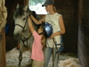 Meredith, Olivia, and Tucker