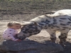 Madison Moseley and Little Chief