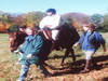 Riding Roland 99