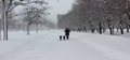 Blizzard walk
