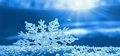 Snowflake
