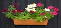 Mom\'s flower box