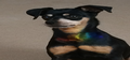 Pepper