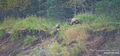 katmai